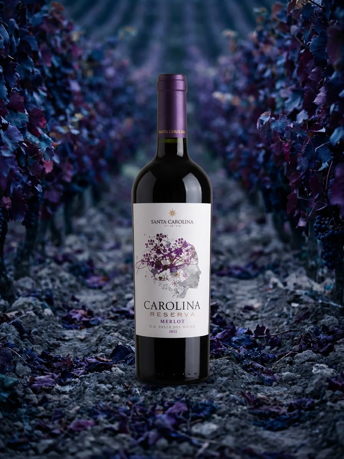 Vinho Santa Carolina Reserva Merlot